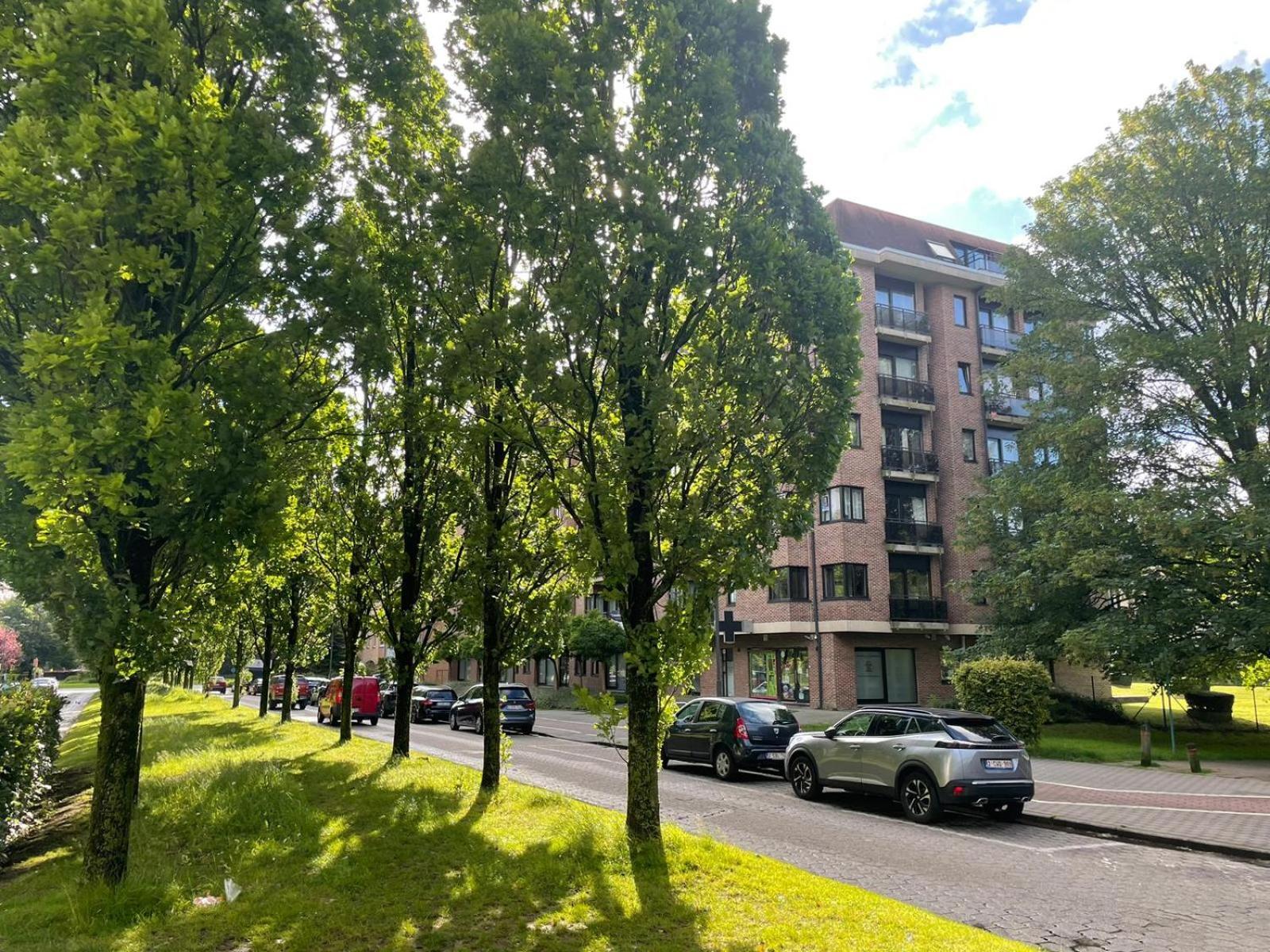 One Bedroom Fully Equipped Apartment With Terrace Brüssel Exterior foto